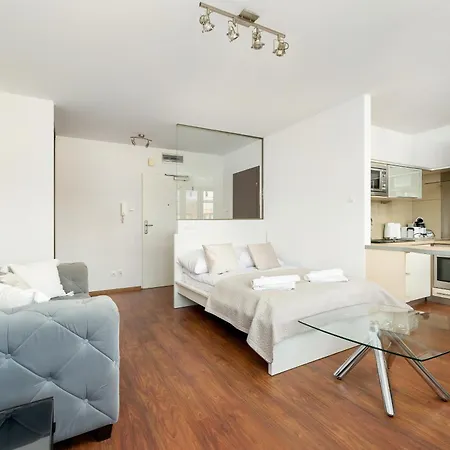 Fredry By Solarento * コウォブジェク